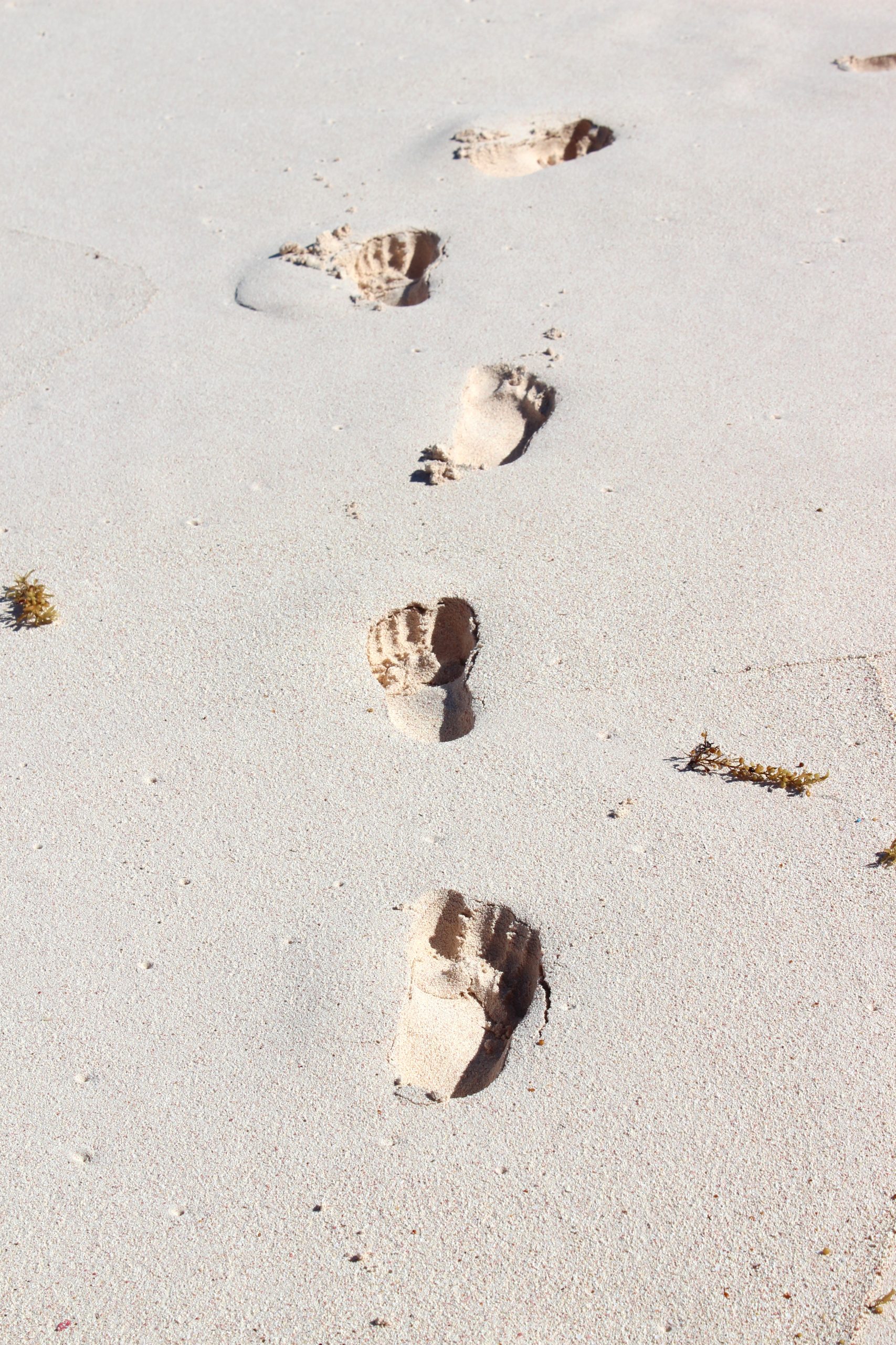 A Beach Lover's Winter Getaway to Cat Island, Bahamas Enjoy Travel Life