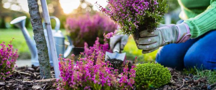 31 Simple Tips for Preparing a Garden for Winter Time