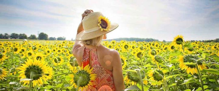 Best Inspirational Garden Quotes To Make You Think