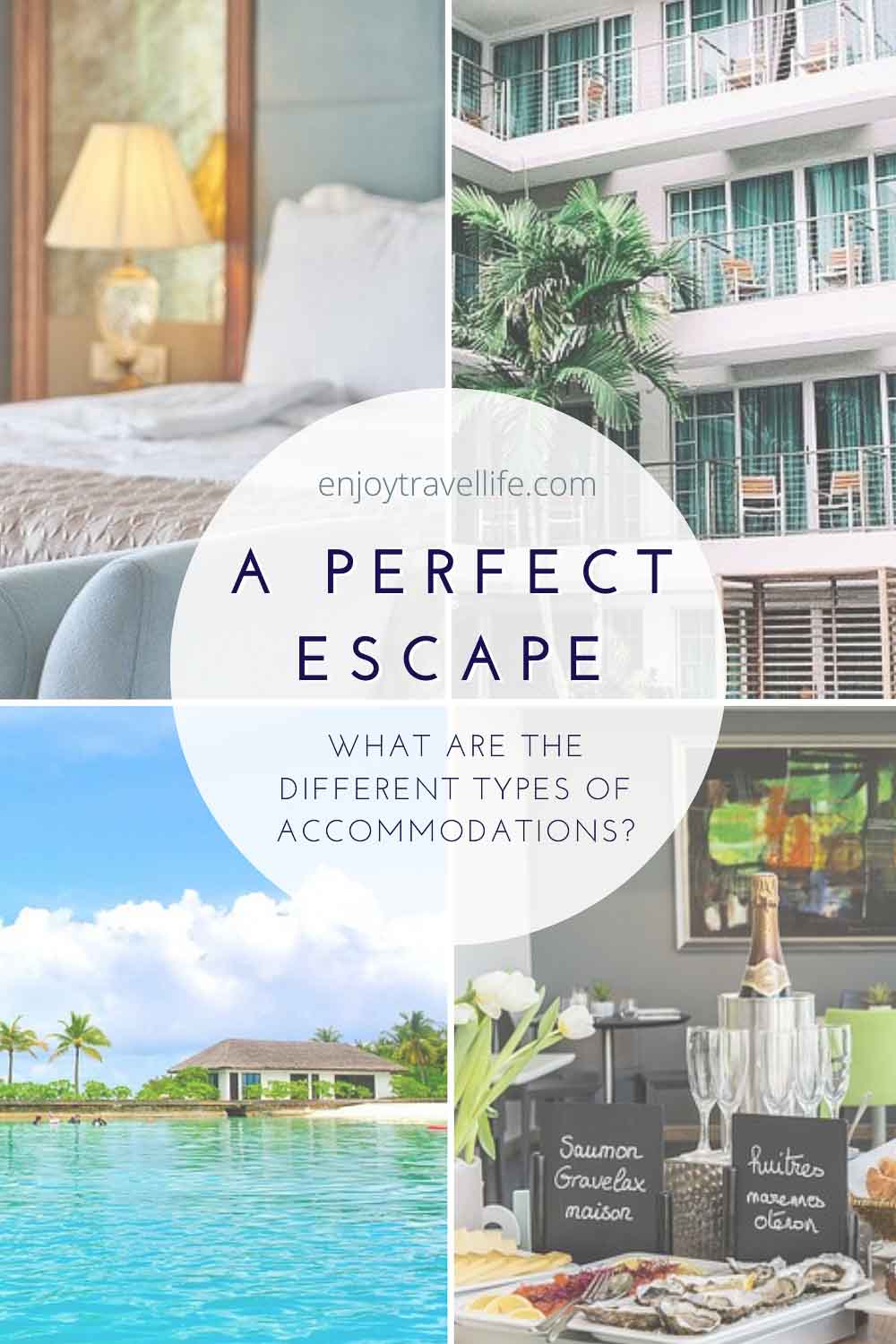 What Are the Different Types of