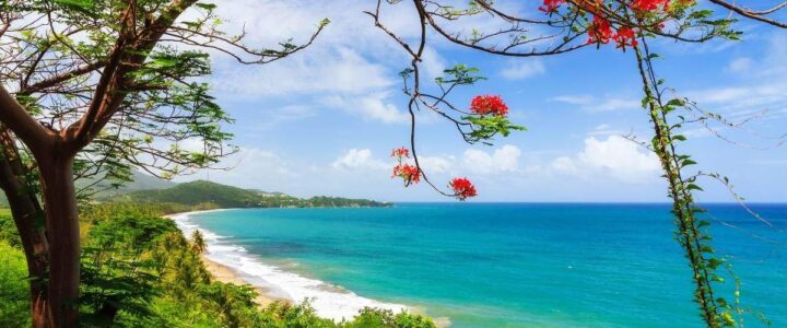 Are You A Digital Nomad? Puerto Rico Might Be Your Next Best Stop!