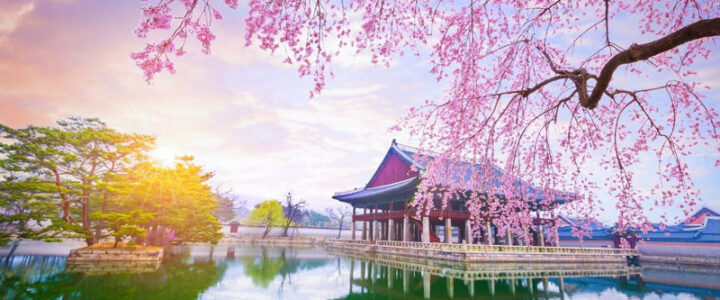 Best Travel Tips for South Korea: Things You Should Know Before You Go