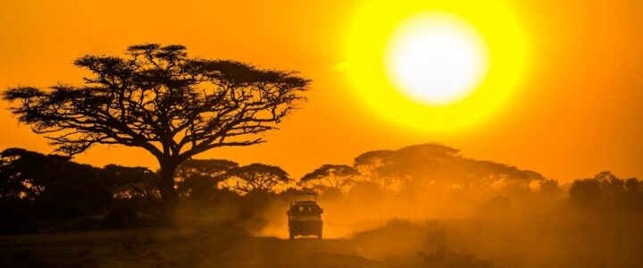 Best South African Photography Safaris? Here’s A 10-Day Luxury Itinerary, Tips! african photography safaris