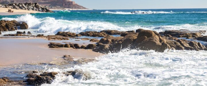 5 Amazing Day Trips from Cabo San Lucas, Mexico Not to Miss! day trips cabo san lucas