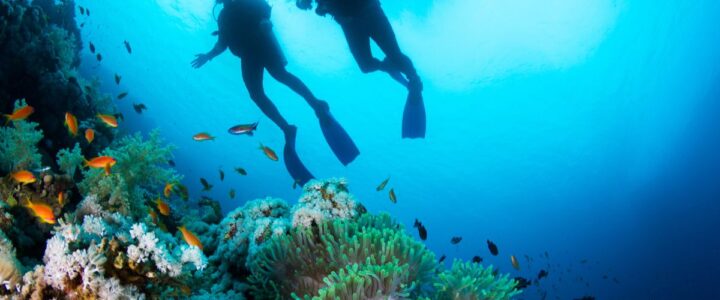Diving Course in Bali: Explore The Best Dive Spots in Nusa Lembongan, Indonesia Diving course in Bali