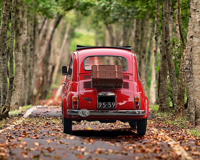 Your Long Distance Move Checklist: 7 To-Dos To Top Your List 3 moving your car | Enjoy Travel Life
