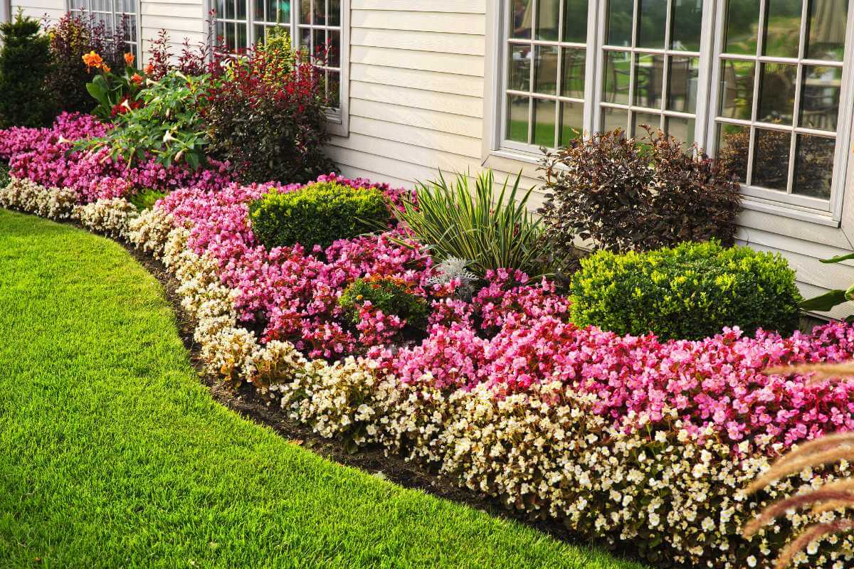 13 Easy Summer Gardening Tips for a Vibrant Home Garden