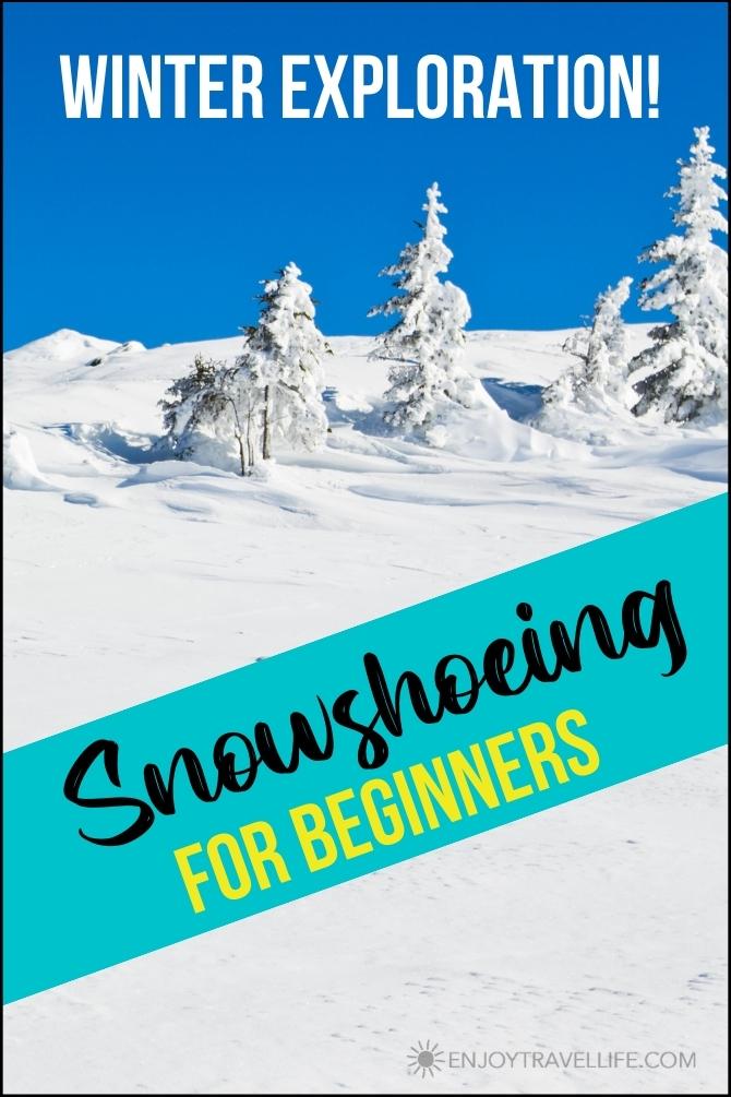 Snowshoeing Holidays for Beginners: 8 Important Tips to Know 9 snowshoeing for beginners | Enjoy Travel Life
