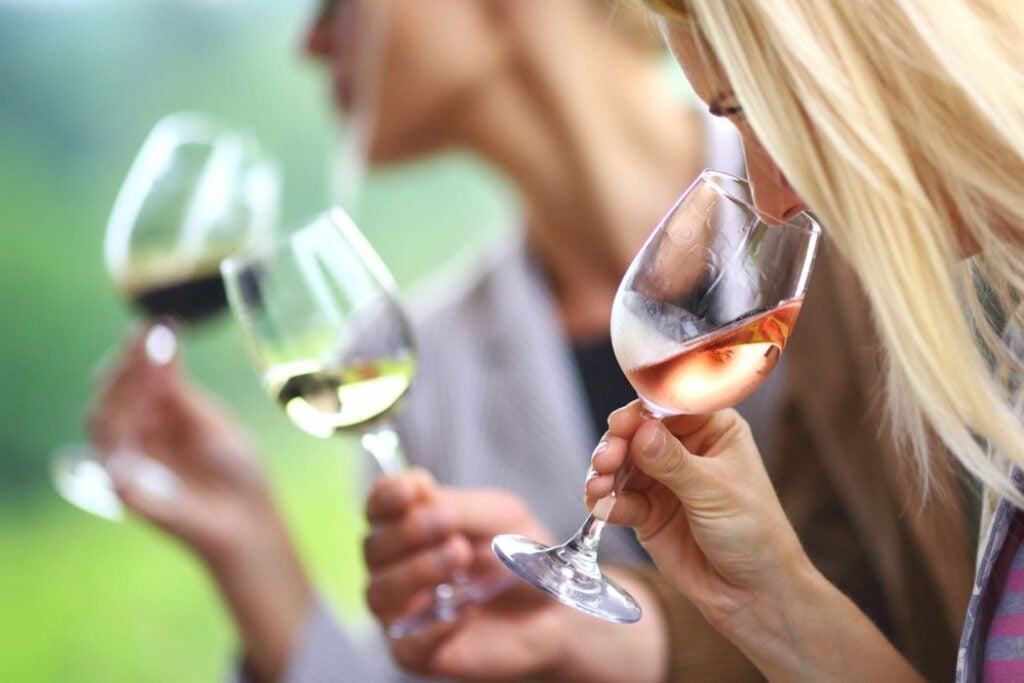 Wine Tasting for Beginners: Swirl, Sip, and Savor! 4 wine tasting tips | Enjoy Travel Life