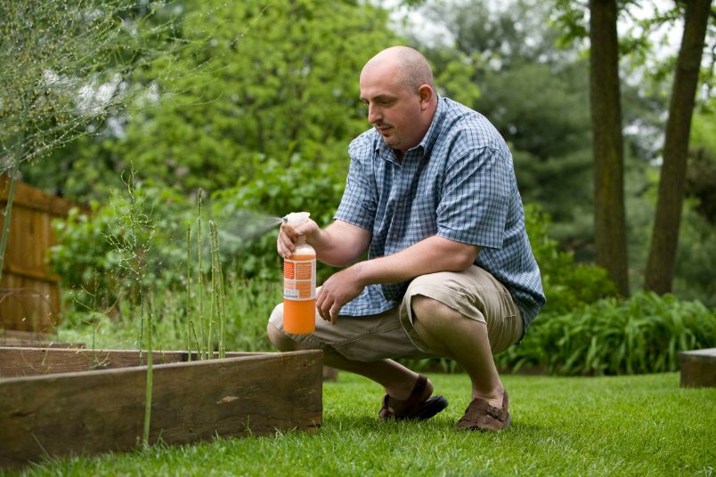 Landscape Maintenance Checklist: 7 Easy Steps for a Low-Maintenance Garden 8 Integrated Pest Management