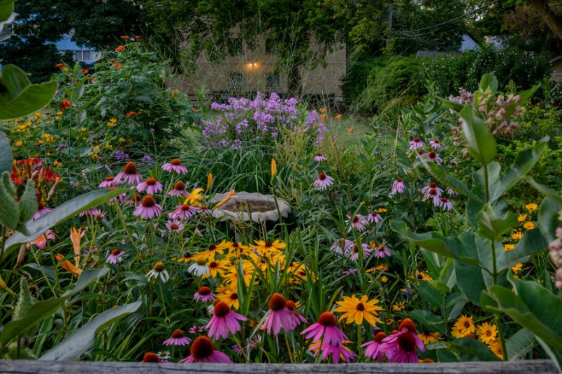 Landscape Maintenance Checklist: 7 Easy Steps for a Low-Maintenance Garden 3 Perennials