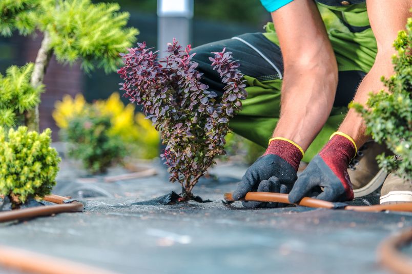 Landscape Maintenance Checklist: 7 Easy Steps for a Low-Maintenance Garden 6 water saving drip irrigation | Enjoy Travel Life