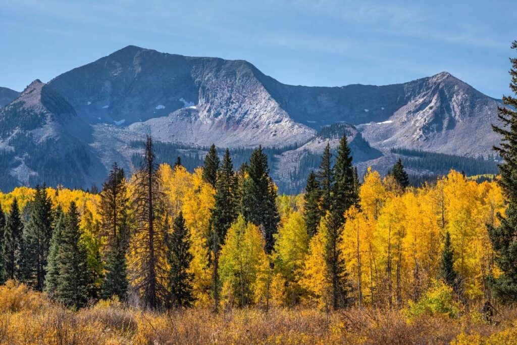 mountain scene with yellow fall foliage
