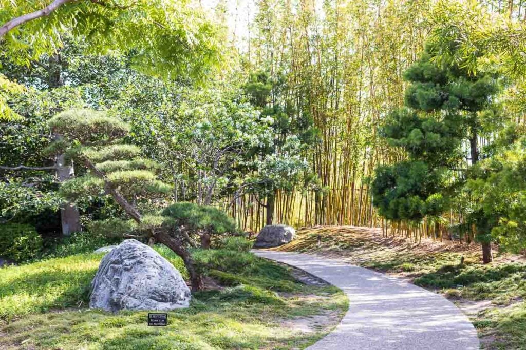 Botanical garden inspiration: Curved paved path winding through the Japanese Friendship Garden in San Diego with bamboo, sculpted pines, and mossy boulders.