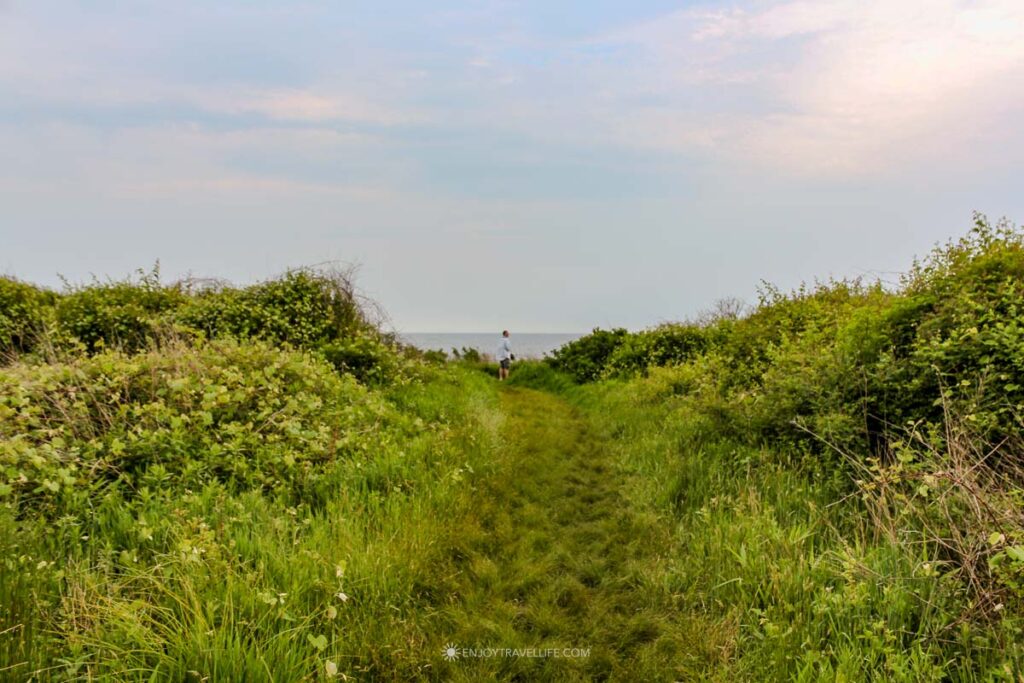 Grassy path through dunes leading to the ocean on Martha's Vineyard