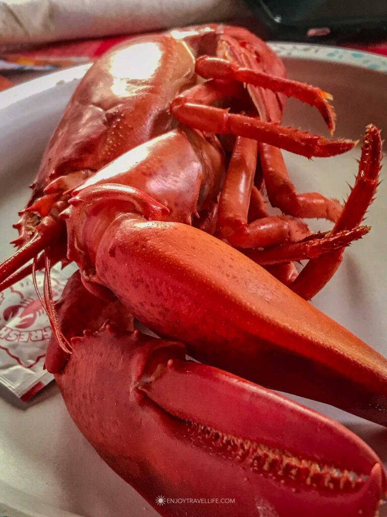 A freshly cooked, bright-red Maine lobster served on a plate at Cook's Lobster & Ale House on Bailey Island.