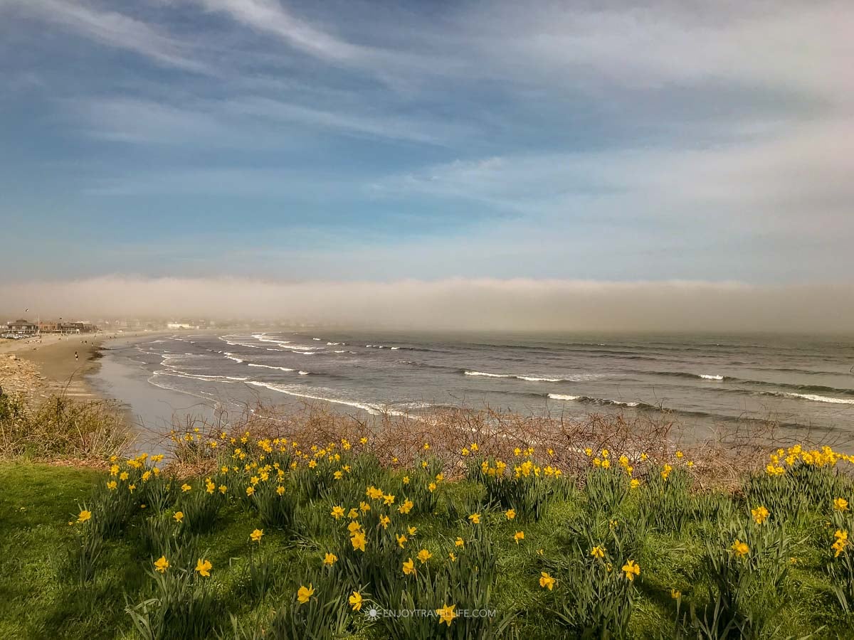 Easton beach with daffodils in the foreground.
