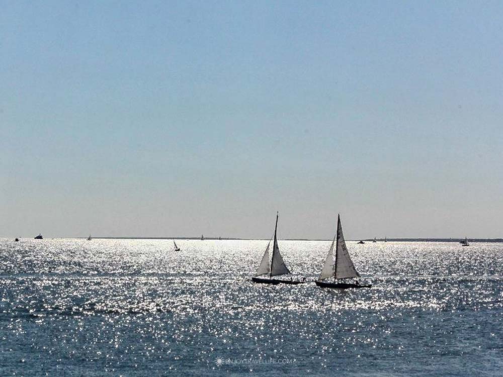 Two sailboats gliding across shimmering, sunlit water on a summer afternoon