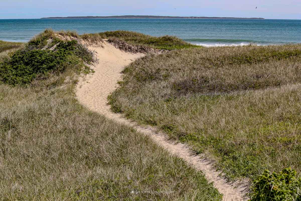 Sandy path winding through dune grass toward the ocean on Martha's Vineyard