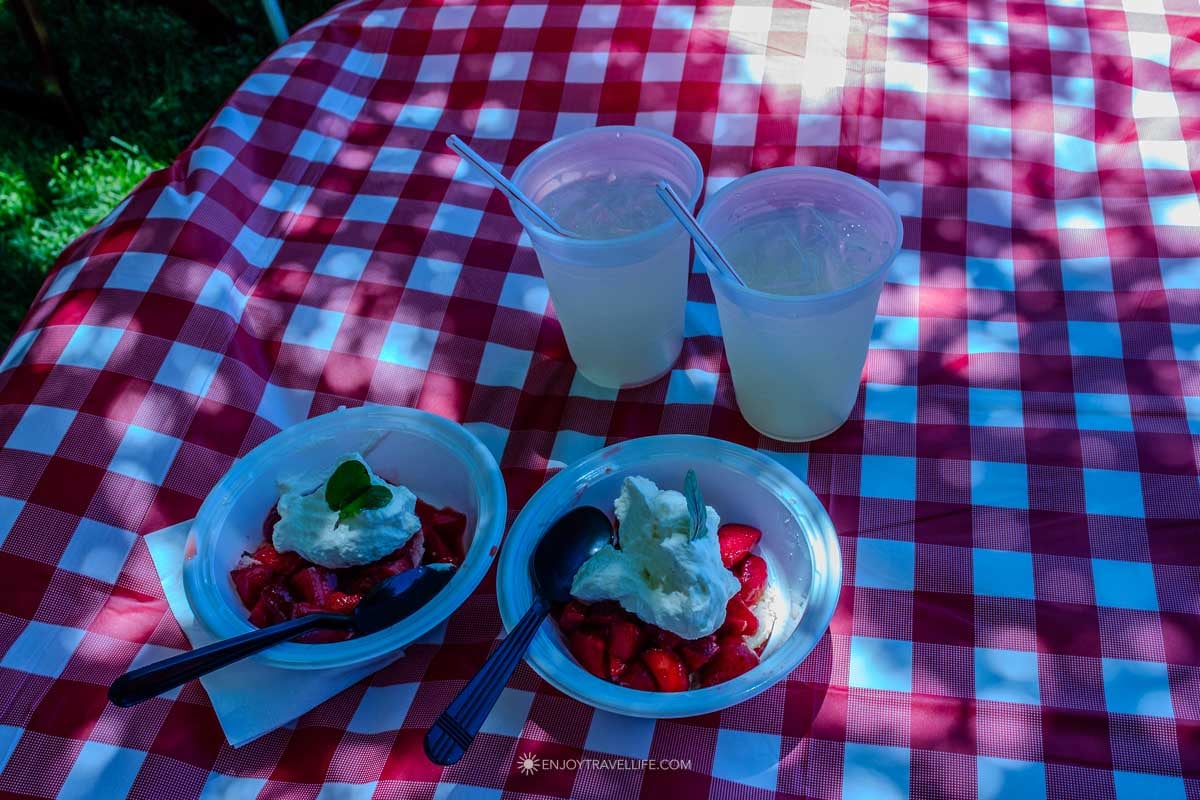 Strawberry shortcake and a gingham spread mark the summer Strawberry Festival in Newport.