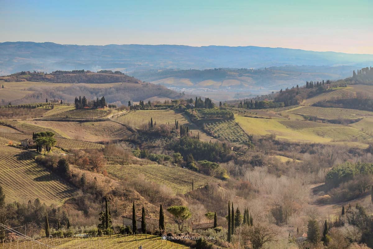 Panoramic view of rolling Chianti hills with cypress trees, vineyards, and farmhouses on a Tuscany tour from Florence.