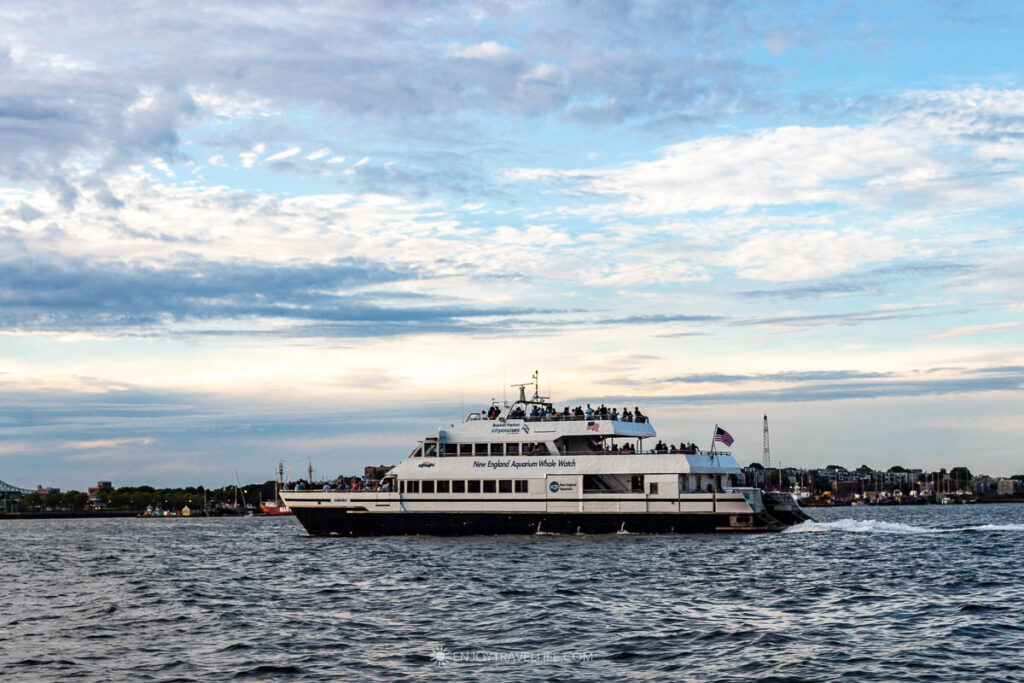 A New England Aquarium whale watch boat crosses Boston Harbor under power on a summer evening.