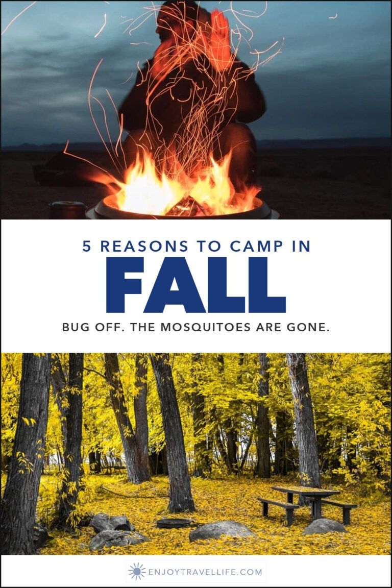 A tent and campfire above a forest carpeted in yellow leaves.
