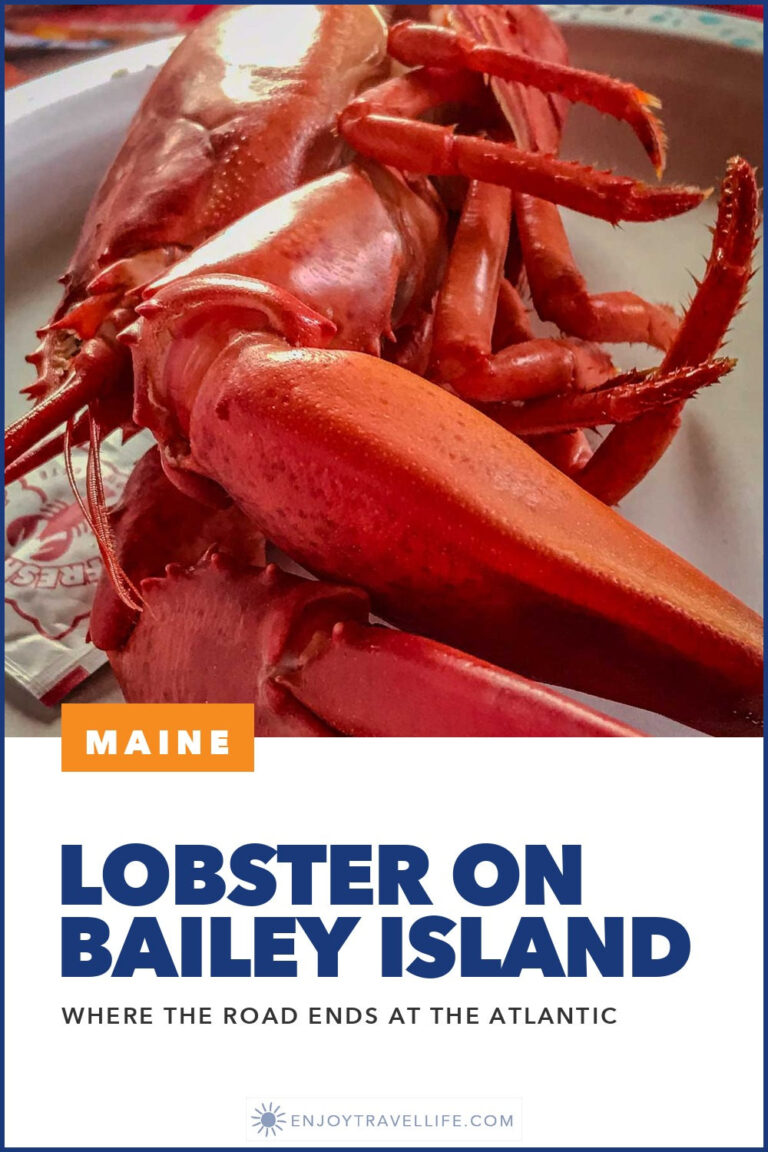 A bright red steamed Maine lobster on a plate on Bailey Island, Maine.