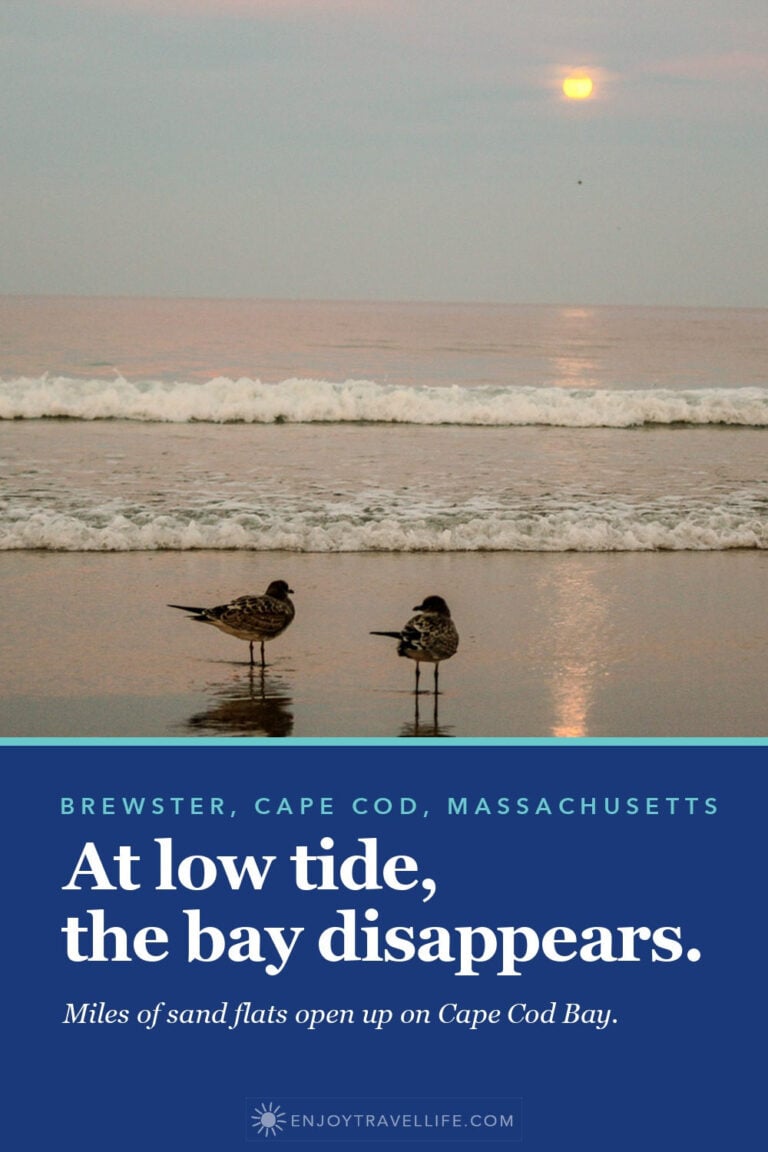 Two gulls stand on the wet sand flats at Brewster, Cape Cod, with the moon over the bay.