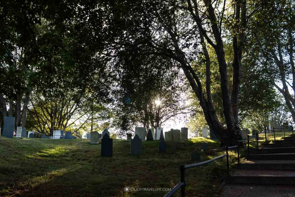 A shaded path winds between headstones and old trees on Burial Hill in Plymouth.