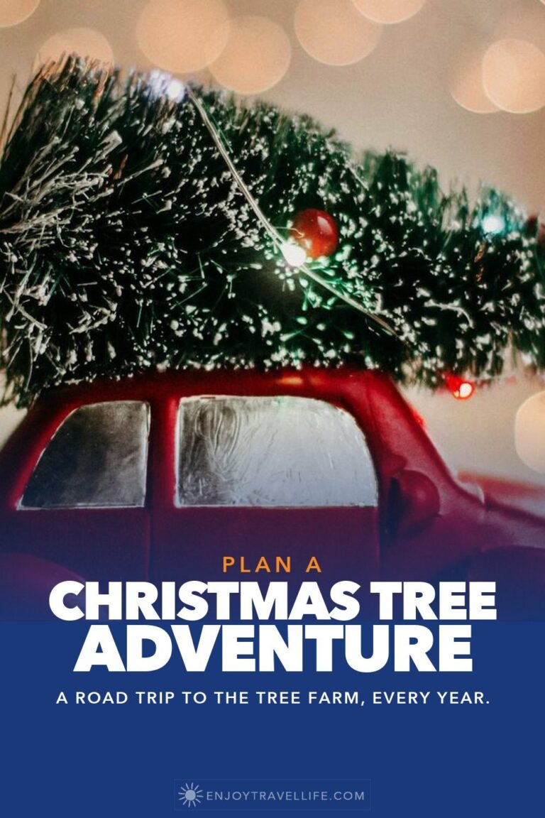 A small red toy car carrying a snowy Christmas tree on its roof against soft lights.