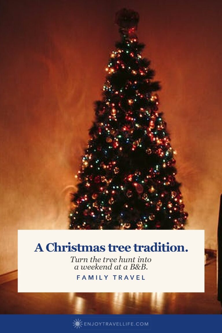 A Christmas tree strung with warm lights glowing in a dark room.