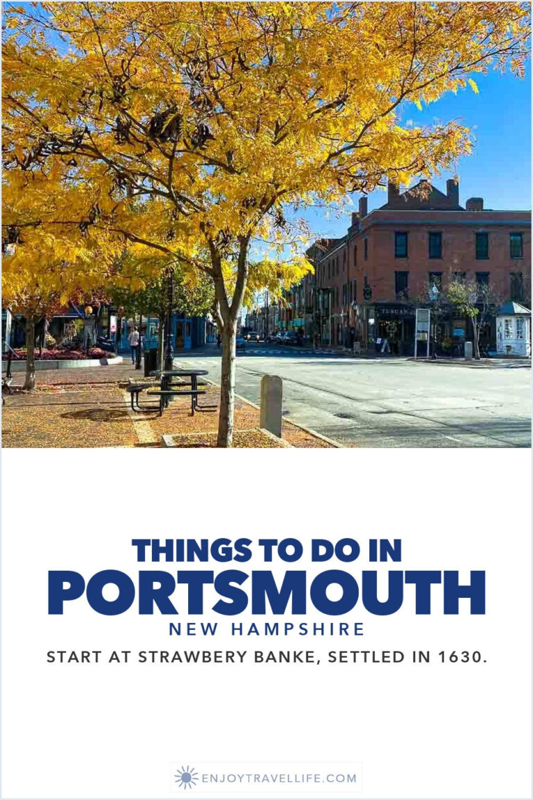 A yellow-leaved tree over a downtown square in Portsmouth, New Hampshire.