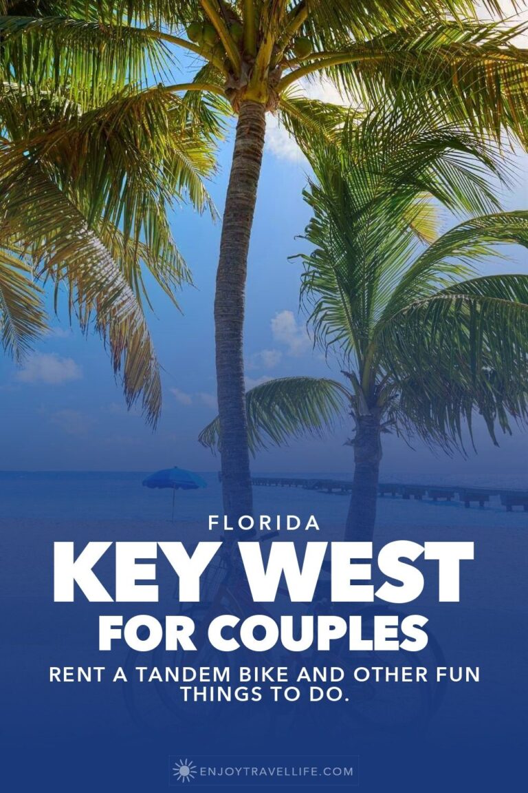 Palm trees against a deep blue sky in Key West, Florida.