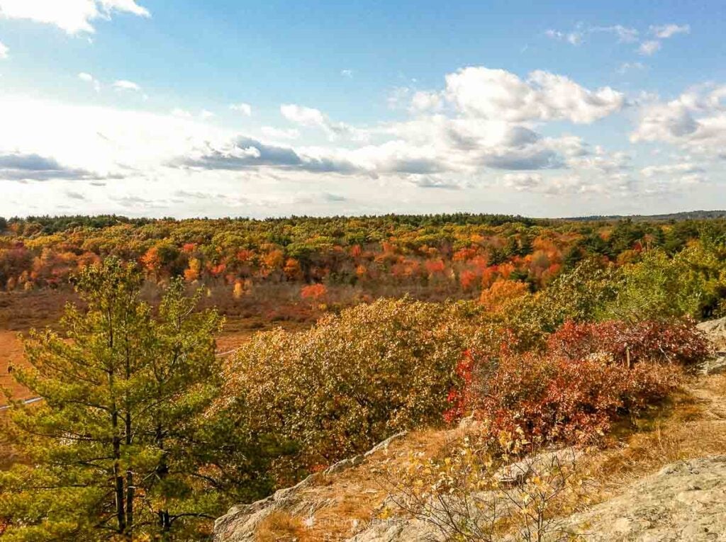 Peak fall color fills a New England valley seen from a rocky overlook.