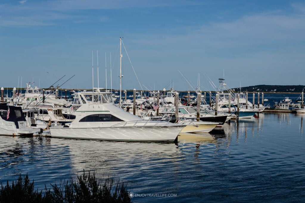 Motor yachts and sailboat masts fill a marina in Plymouth Harbor under a blue sky.
