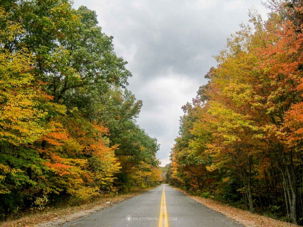 A two-lane road runs between walls of fall color in New England.